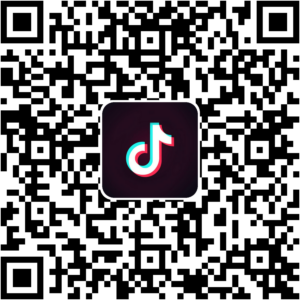 抖音小程序